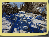 Chemin de Lozère en janvier, pastel 40x30