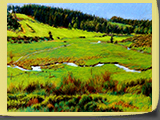 Le ru, pastel 40x30