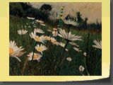 Marguerites du soir Pastel 40x30