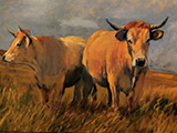 L'Aubrac. Huile toile 65x46