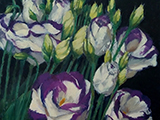 Lisianthus. Huile toile 40x40